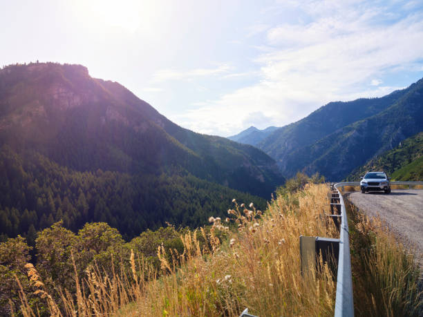 Mountain Viewpoints and Scenic Drives for Instant Perspective
